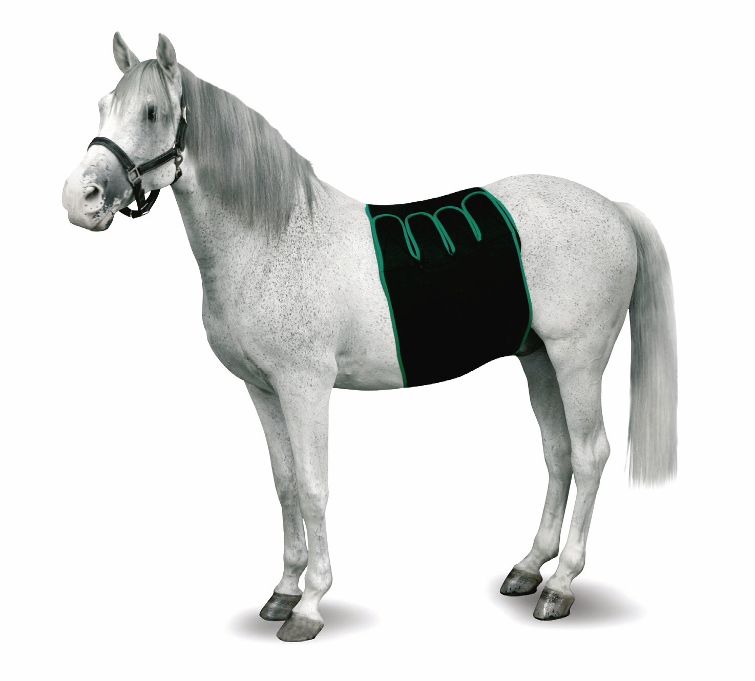 KRUUSE Equine Bandage beim Aufwachen Gr.M 170 - 200cm 1 Stk