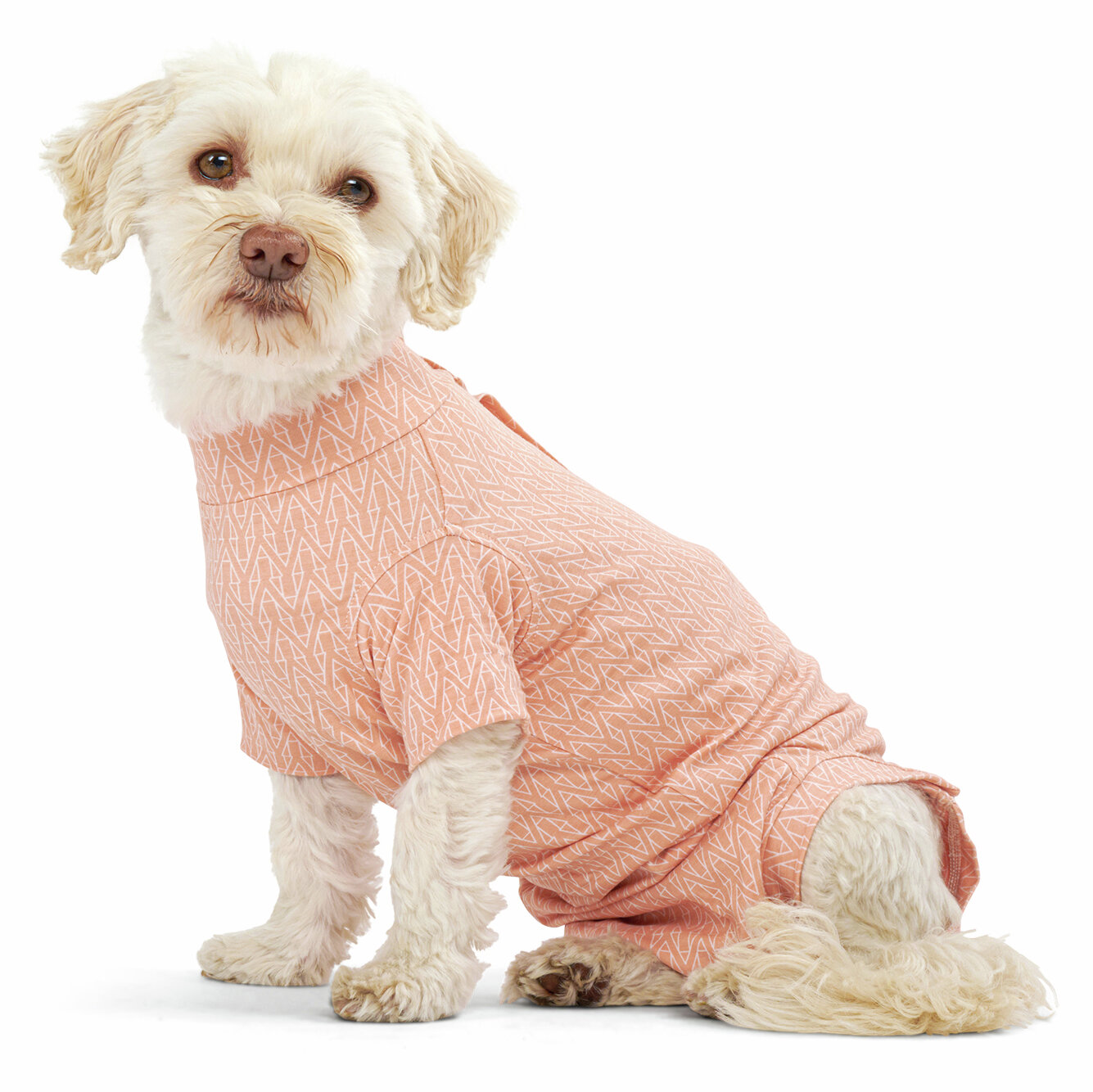 BUSTER Body Suit Step´n Go Bambus Hund Gr. S pfirsich 1 Stk.
