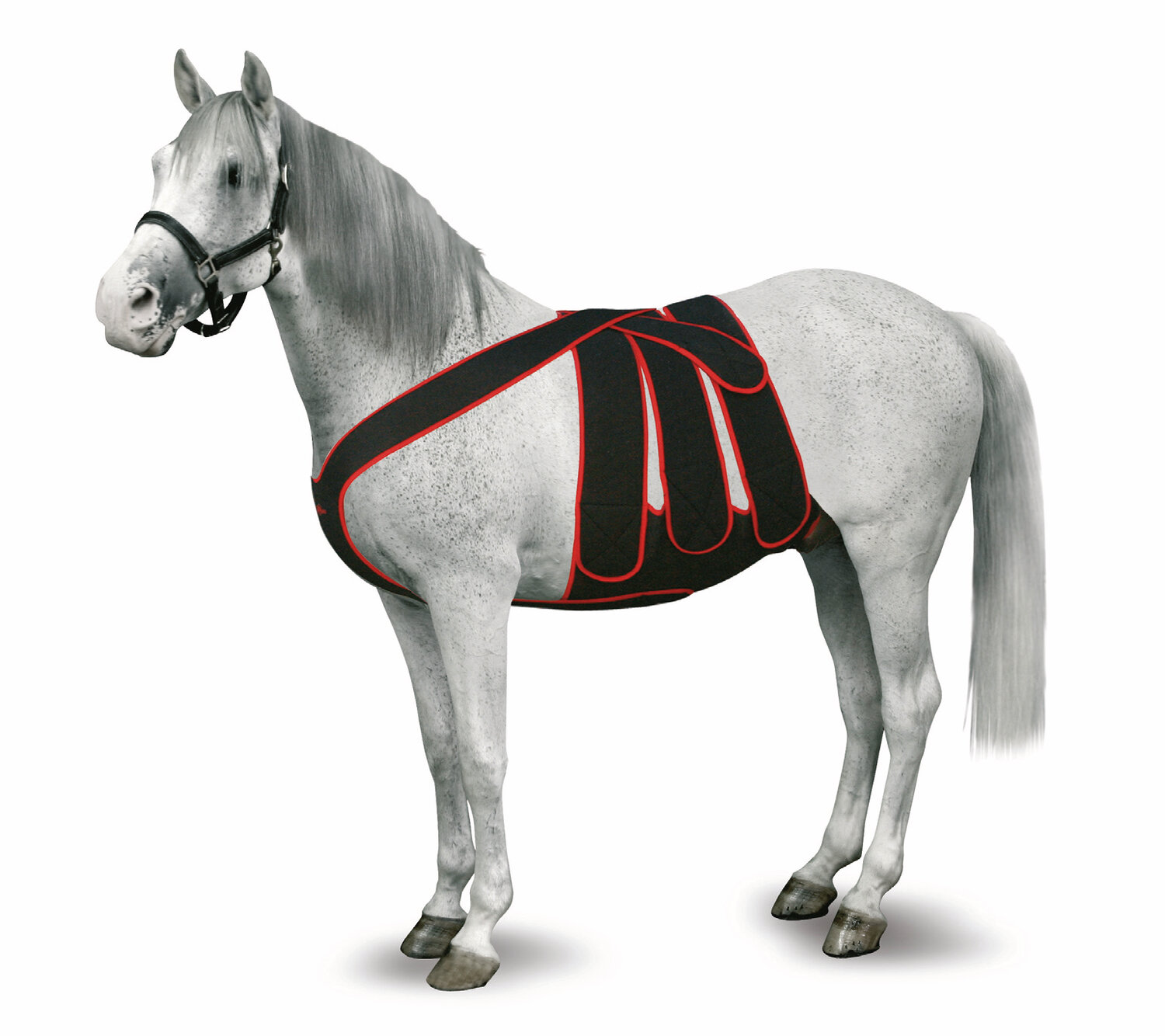 KRUUSE Equine Post Kolik OP Set Gr. S 130-170 cm Stück