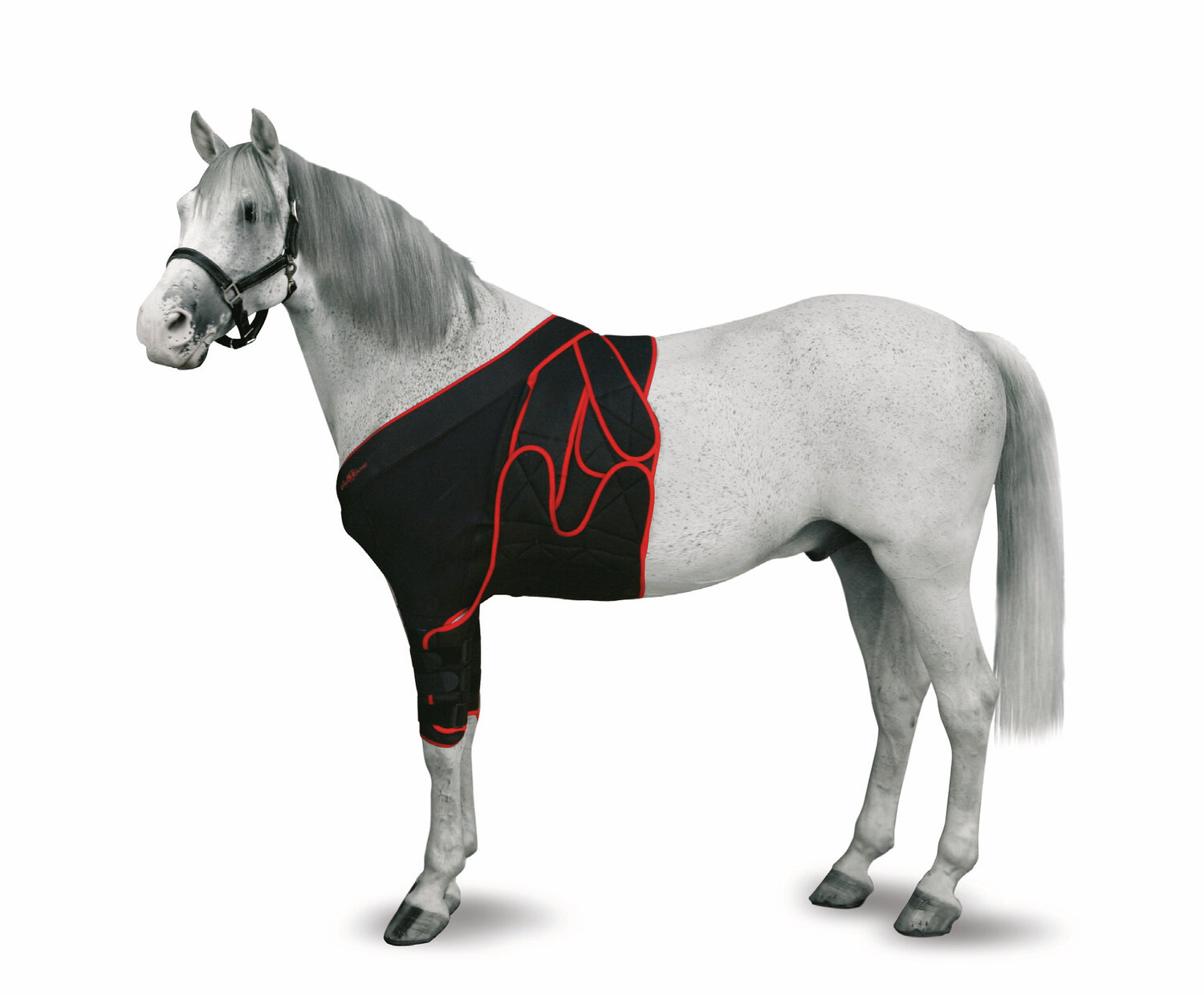 KRUUSE Equine Schulterbandage Gr. M 170 - 200cm 1 Stk