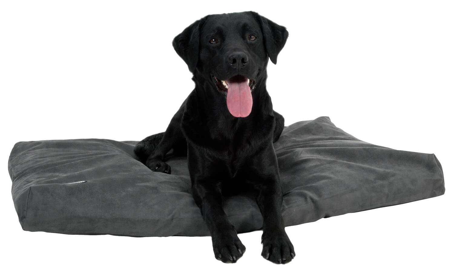 BUSTER Hundebett Memory Foam 100 x 70 cm grau 1 Stück