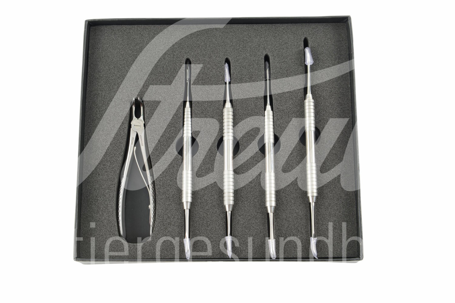 KRUUSE Dental-Set Milchzähne für Kleintiere 5-teilig 1 Set