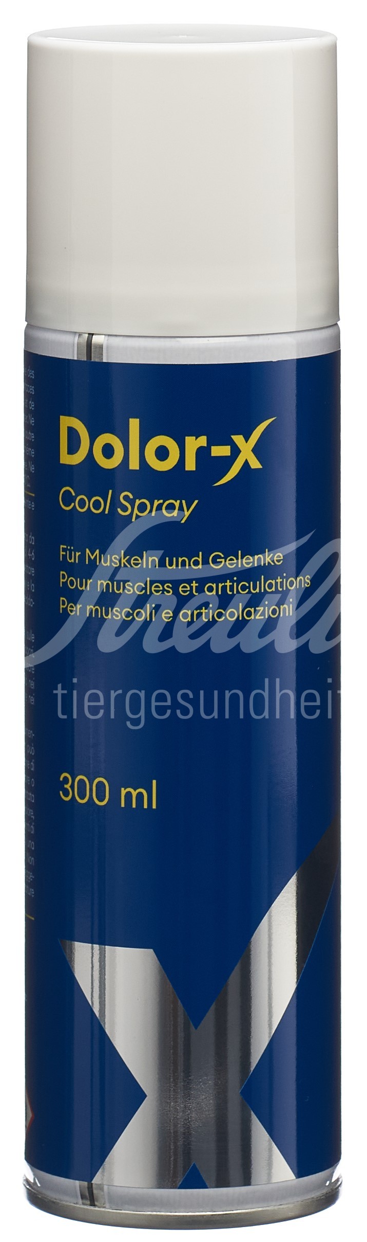 Dolor-X Cool Spray Ds 300 ml