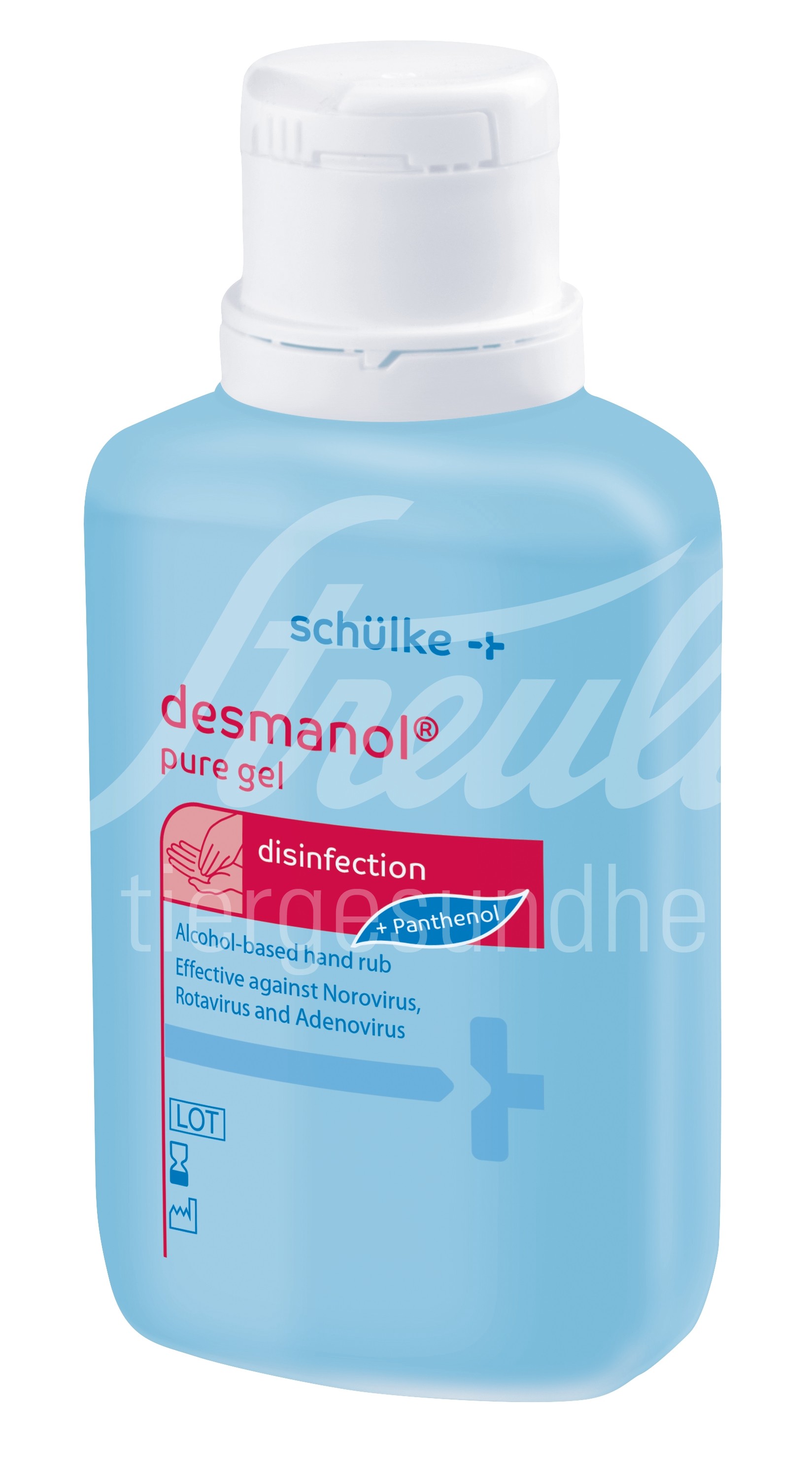 Desmanol pure Gel INT Fl 100 ml