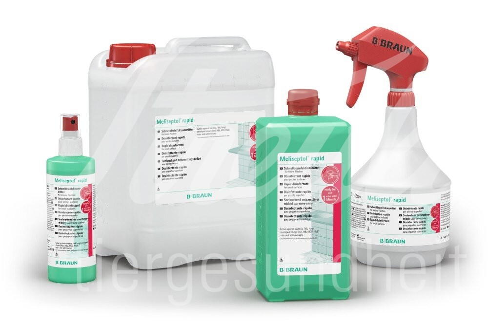 Meliseptol rapid Sprühfl 250 ml