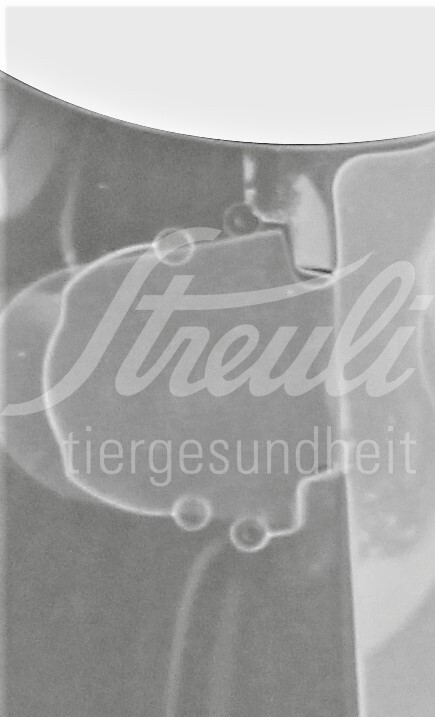 FV Halskragen Comfort transp. Schnell-Versch. 25 cm 5 Stück FV Halskragen Comfort transp. Schnell-Versch. 25 cm 5 Stück