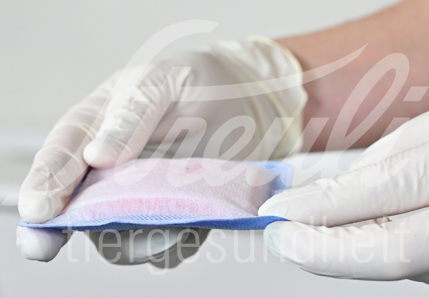 KRUUSE Super-Absorb 10 x 20 cm 10 Stück KRUUSE Super-Absorb 10 x 20 cm 10 Stück