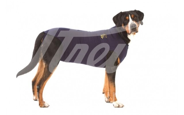 MPS Shirt Hund blau Gr. L 1 Stück MPS Shirt Hund blau Gr. L 1 Stück