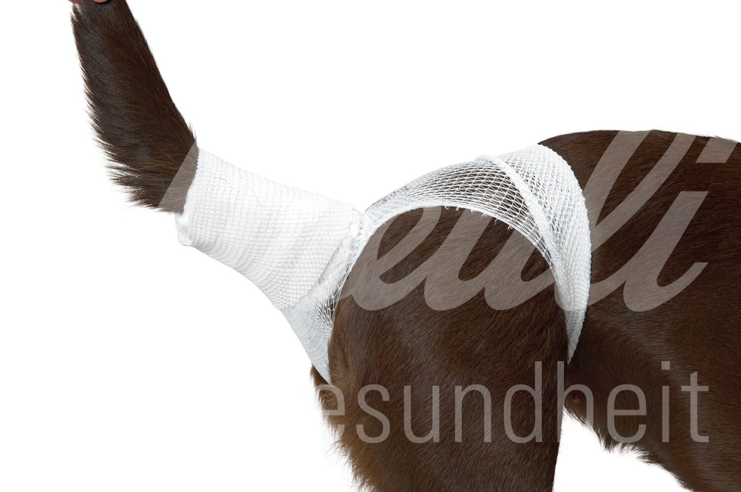 BUSTER Schlauchverband 8,8 cm x 6,5 m weiss 1 Stück