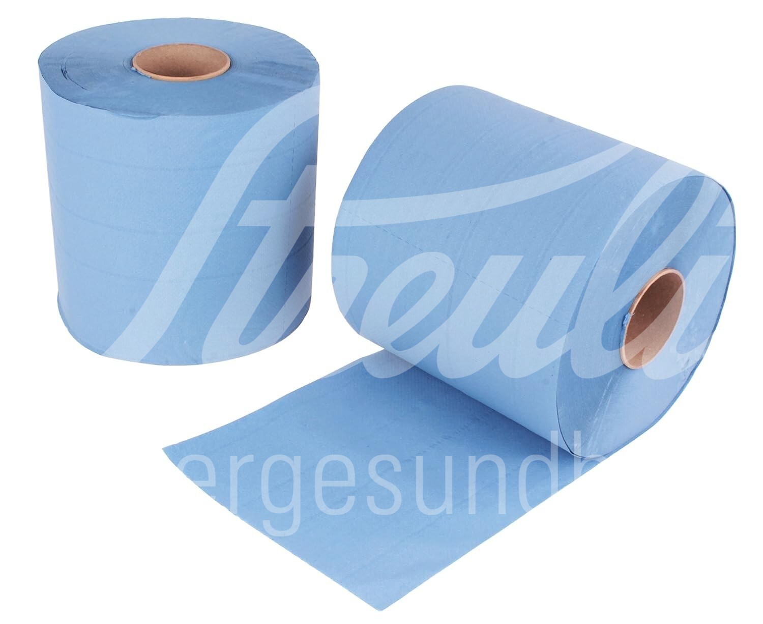 Papiertücher Maxirolle 2-lagig 22 x 36 cm 2 Stück