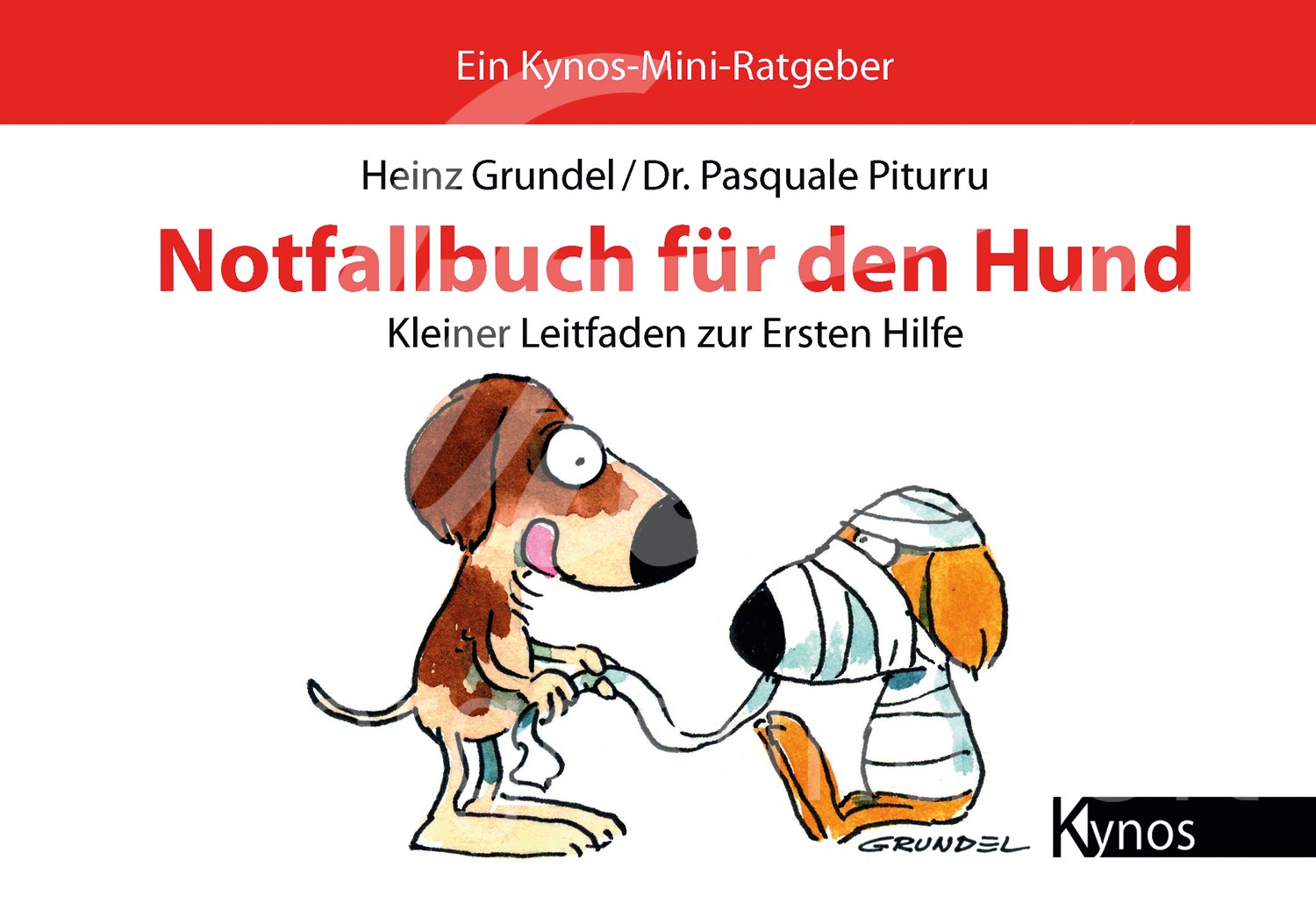 Notfallbuch für den Hund 1 Stück