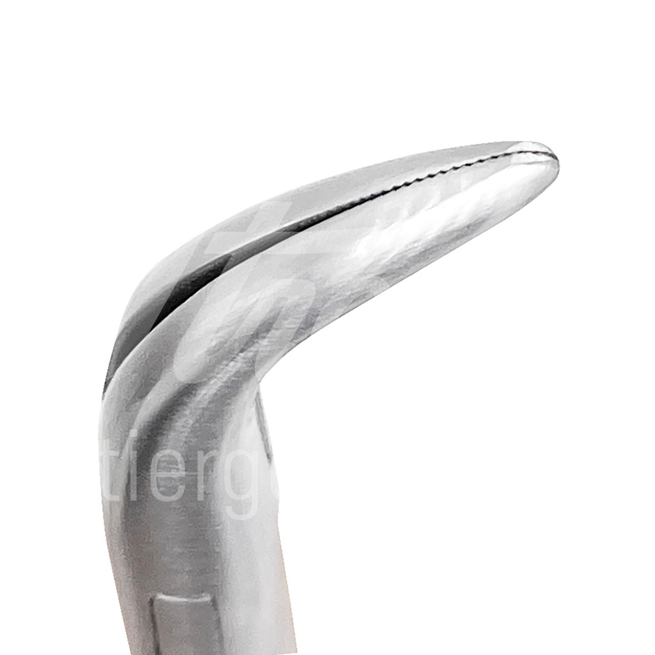 iM3 Wurzel Extraktionszange gebogen Katze, kl. Hunde 1 Stk.