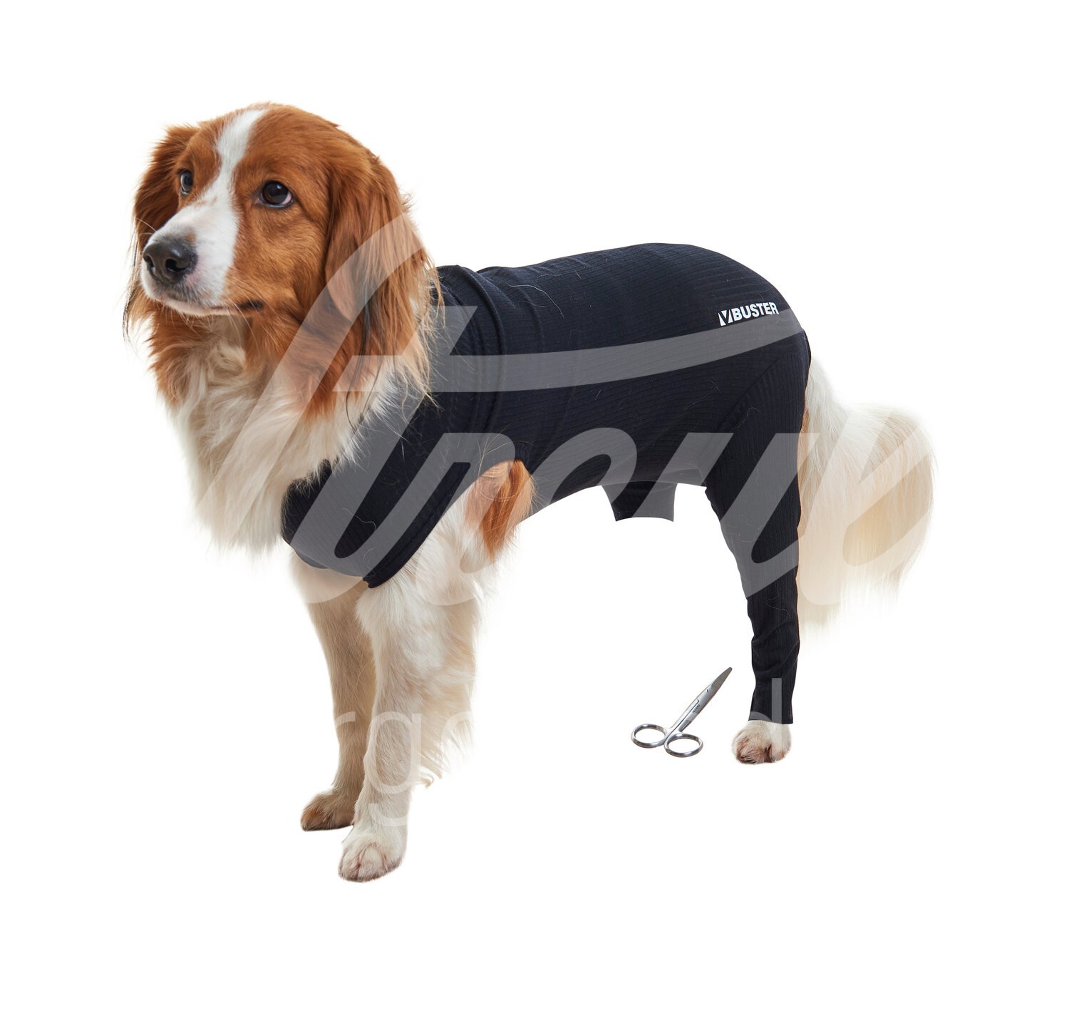 BUSTER Body Sleeve Hund o. Katze Hinterbein Gr. XXS 1 Stück