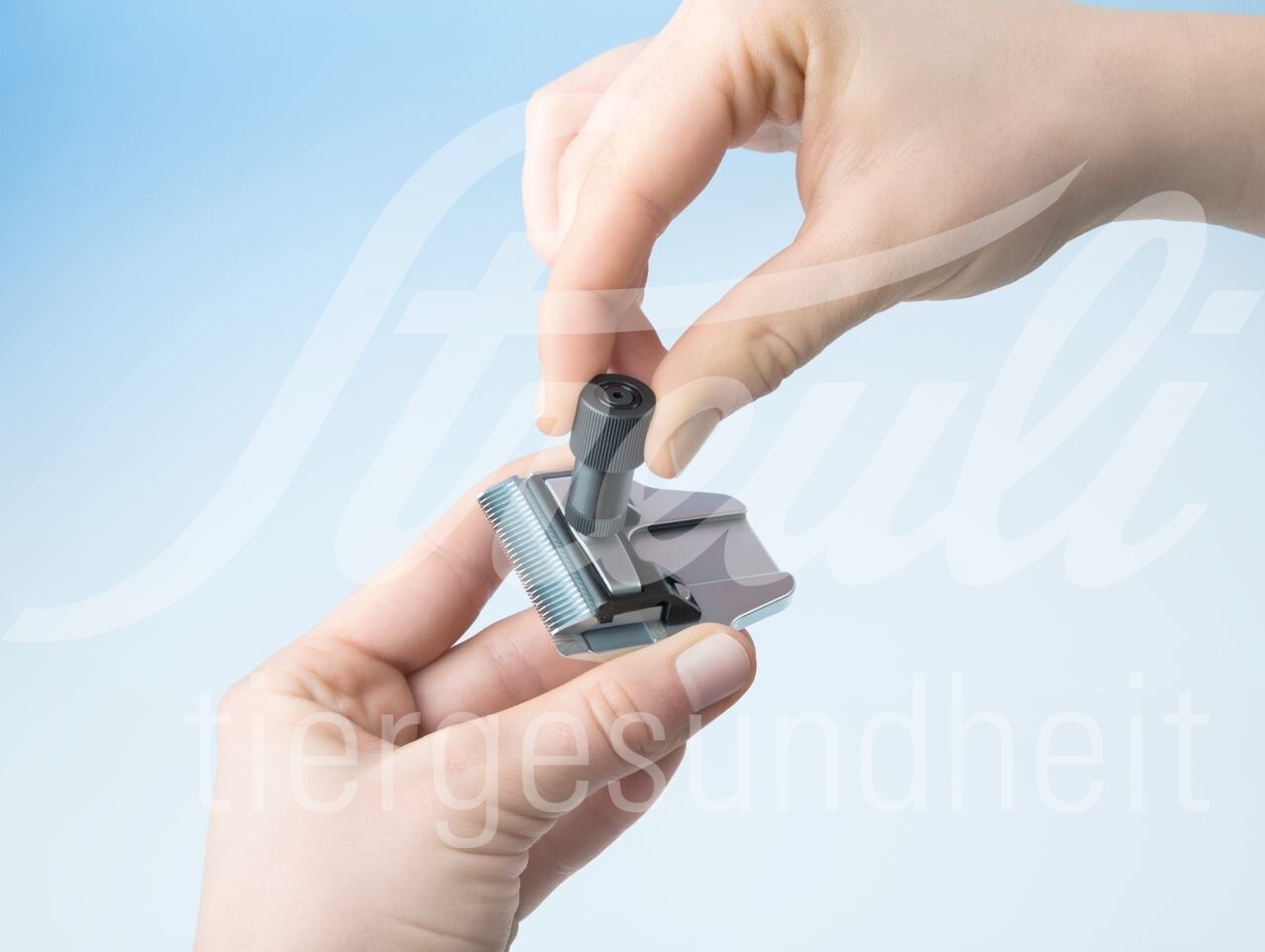 Aesculap Torqui für Favorita Scherköpfe 1 Stück