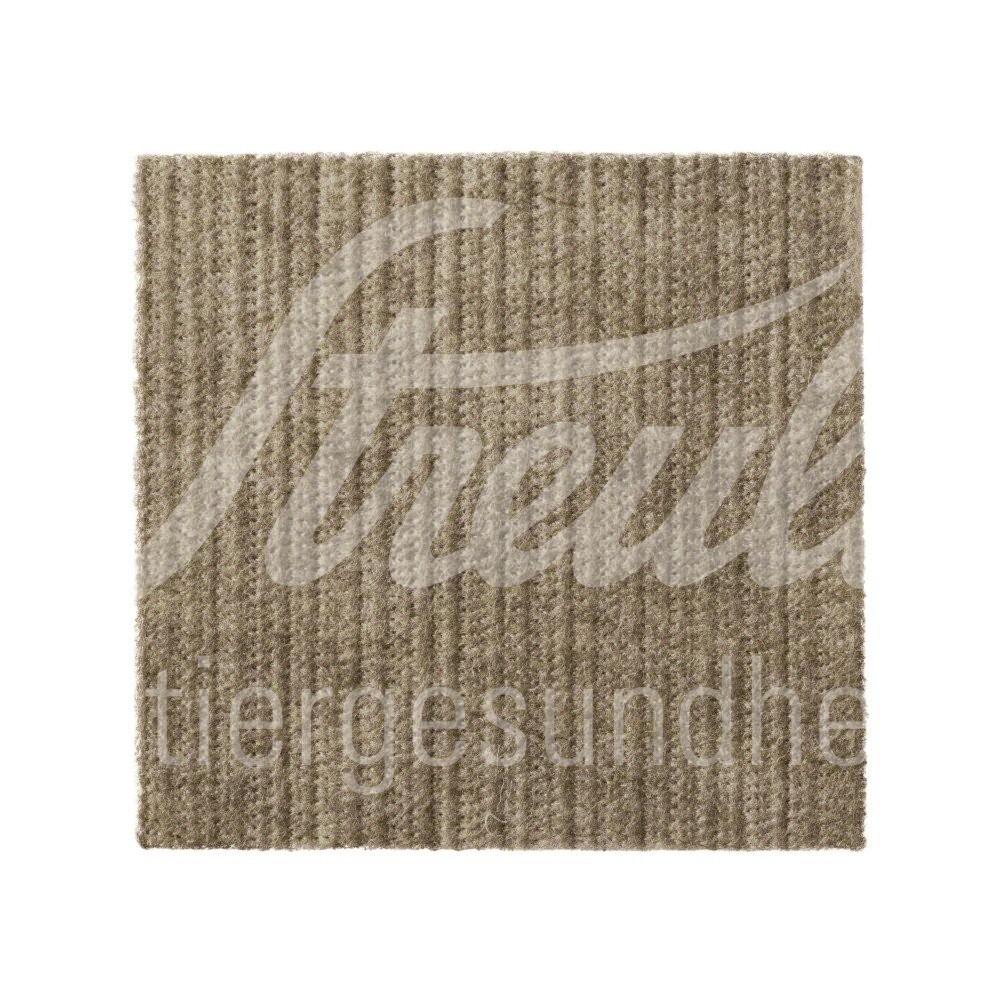 B.Braun Askina Calgitrol Ag+ Wunduaflage 10 x 10 cm 10 Stk.