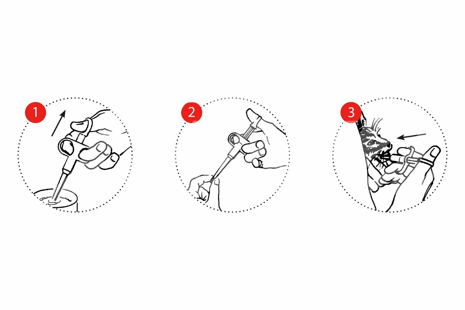 BUSTER Tabletteneingeber m. Platikspitze 10 Stück