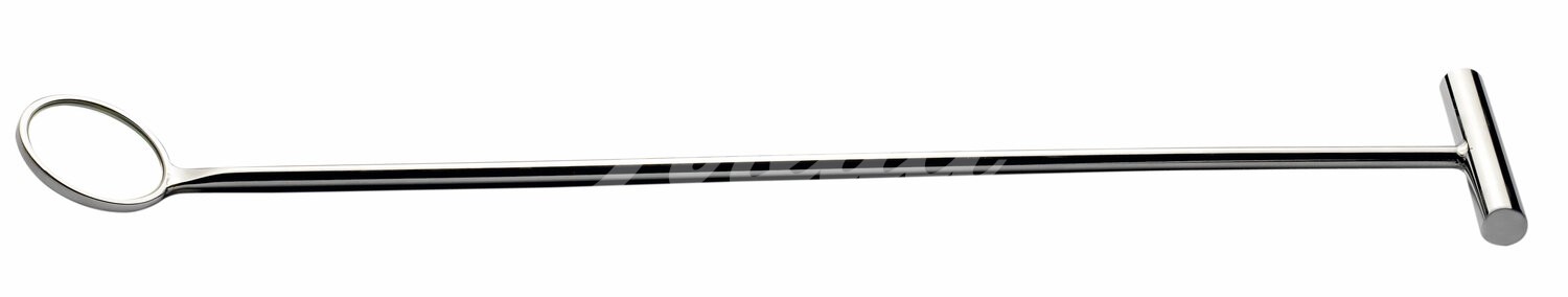 EQUIVET Dental Spiegel abgewinkelt 48 mm x 50 cm 1 Stück