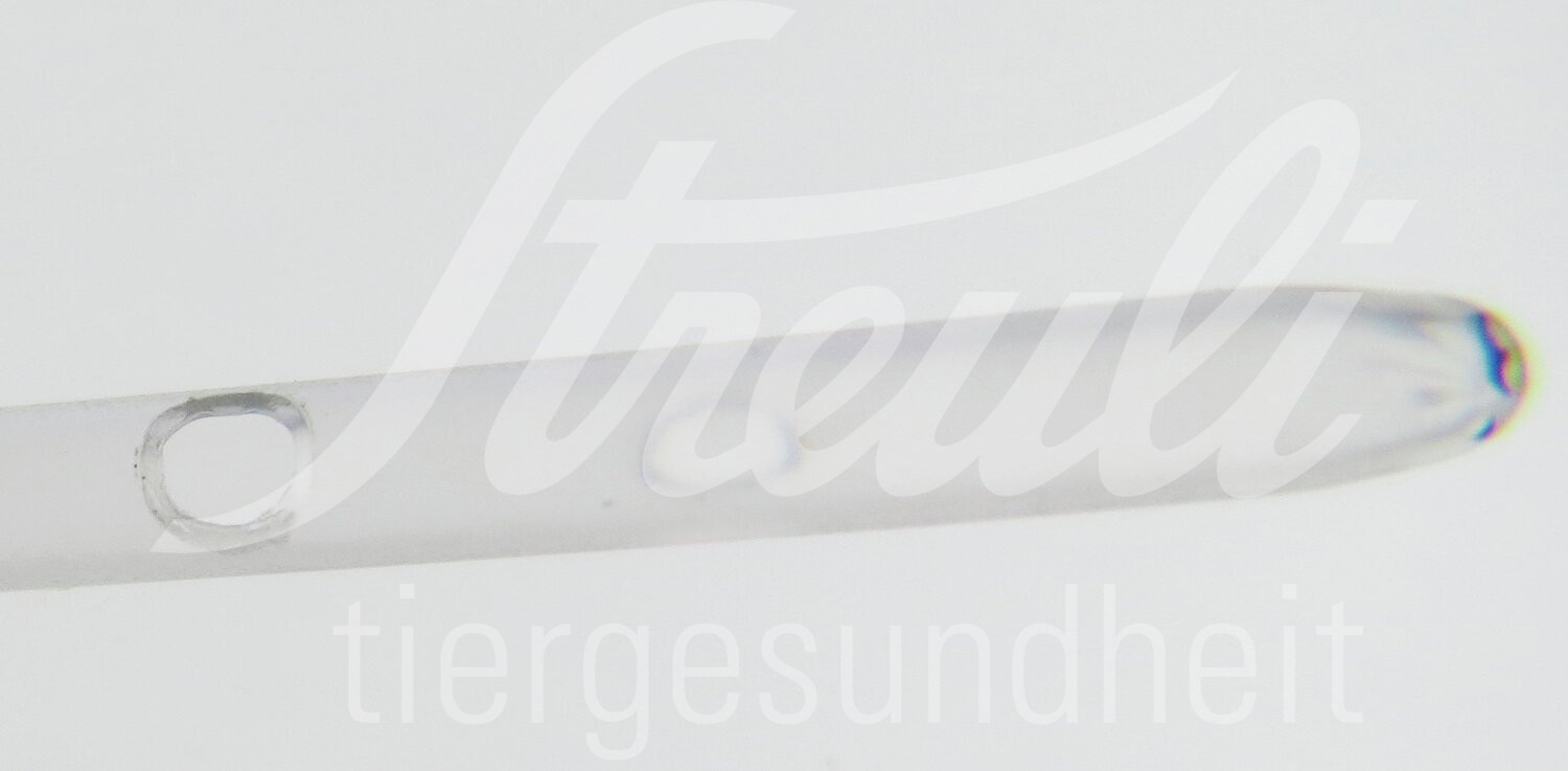 FV Hundekatheter 2.0 x 500mm steril 1 Stück