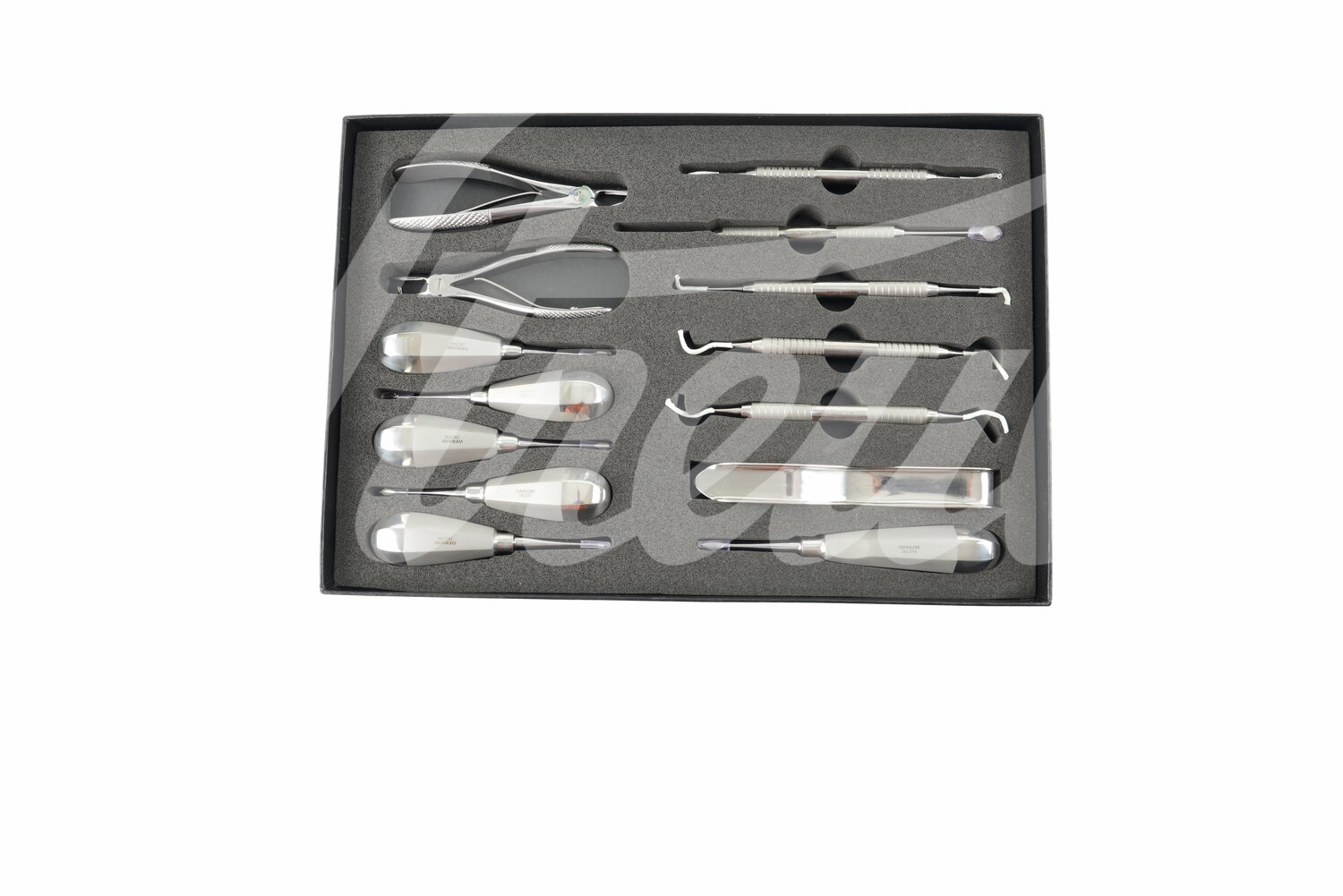 KRUUSE Dental-Set für Kleintiere 14-teilig 1 Set