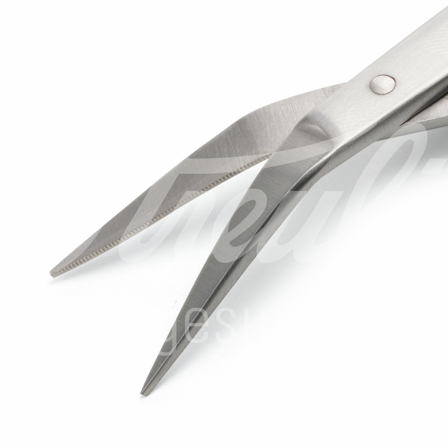 KRUUSE Zahnfleischschere Dean TC SuperCut 12.0 cm abgewinkelt 1 Stück