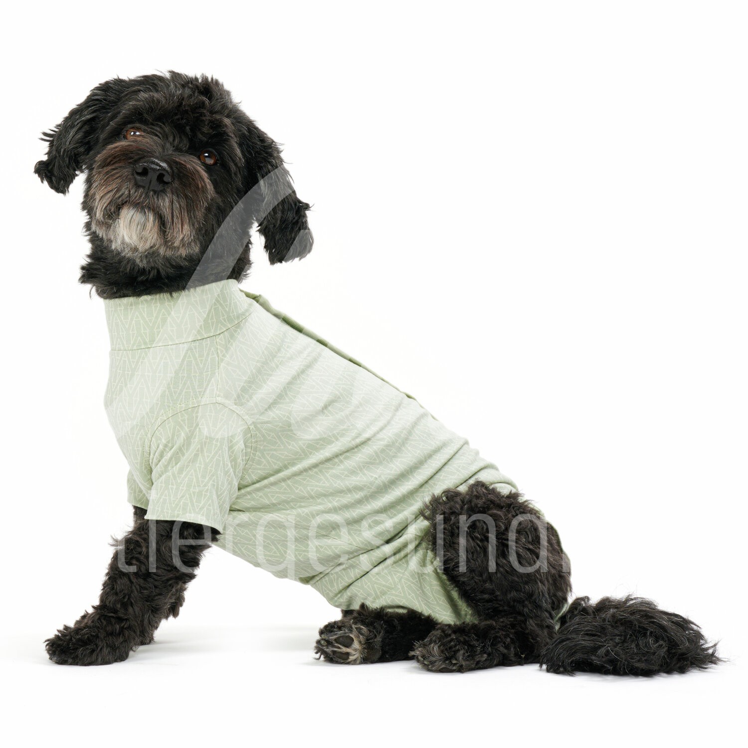 BUSTER Body Suit Step'n Go Bambus Hund Gr. XL grün 1 Stk. BUSTER Body Suit Step'n Go Bambus Hund Gr. XL grün 1 Stk.