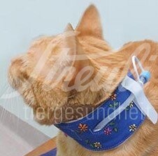 FV Ersatzpads für Katzen Schutzkragen 5 Beutel a 24 Stück