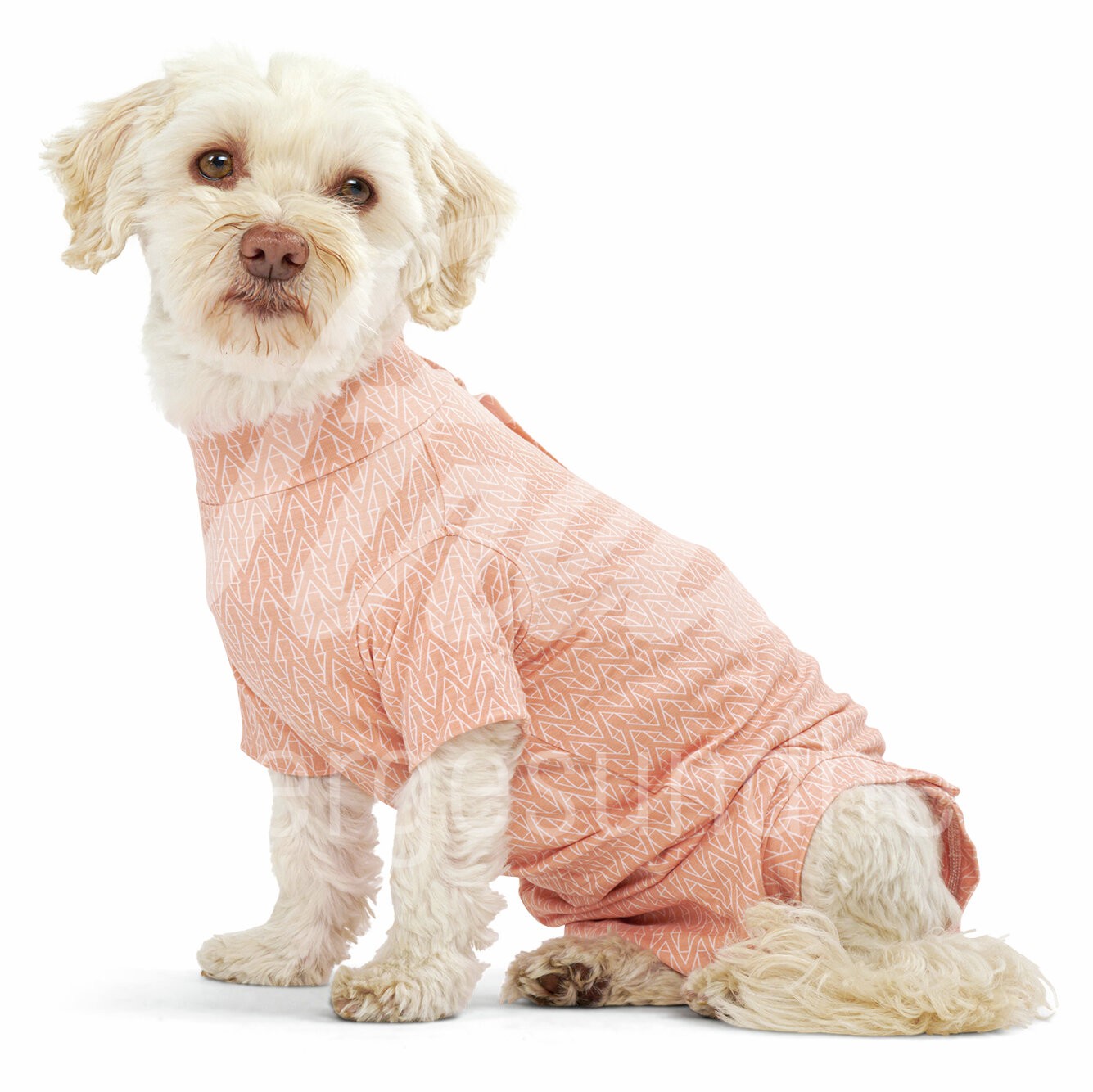 BUSTER Body Suit Step'n Go Bambus Hund Gr. S pfirsich 1 Stk. BUSTER Body Suit Step'n Go Bambus Hund Gr. S pfirsich 1 Stk.