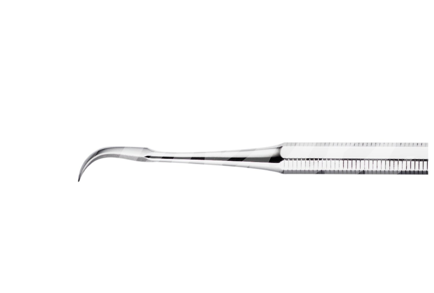 Zahnreiniger Habichtschnabel 16.0 cm mittel Fig. 1 1 Stück