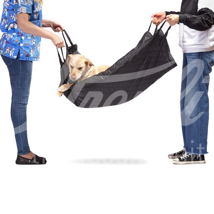 Kleintiertrage Pet Porter 120 x 92 cm faltbar (bis 80 kg) 1 Stk.