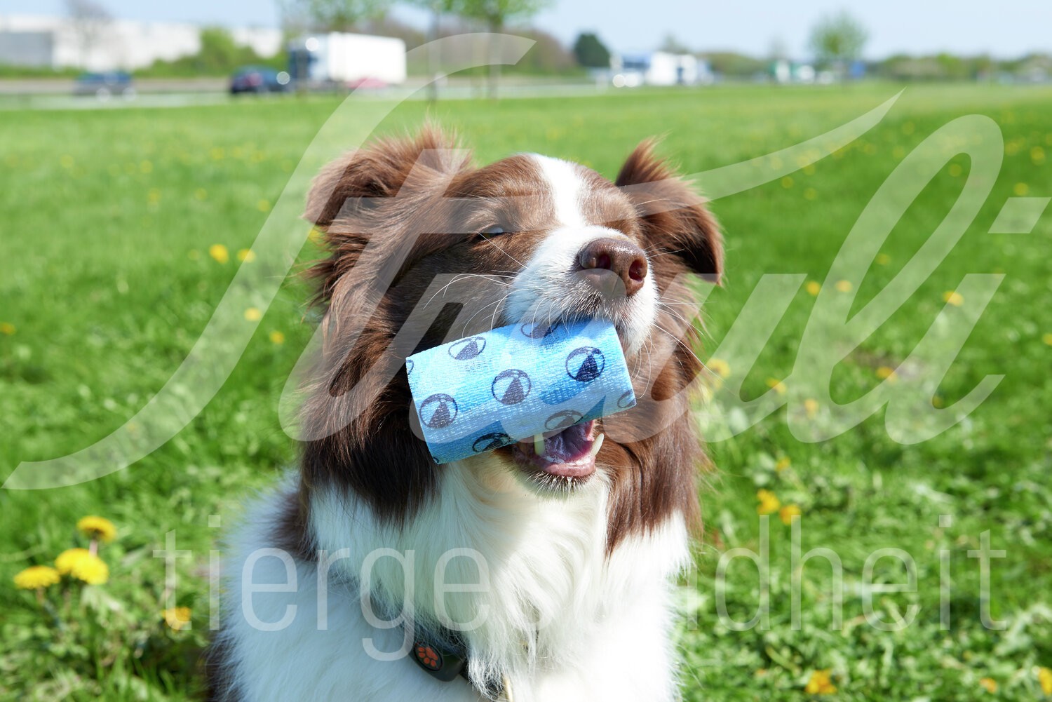 KRUUSE Fun Flex Sommer Bandagen 7.5cm x 4.5m assort. 10Stk.