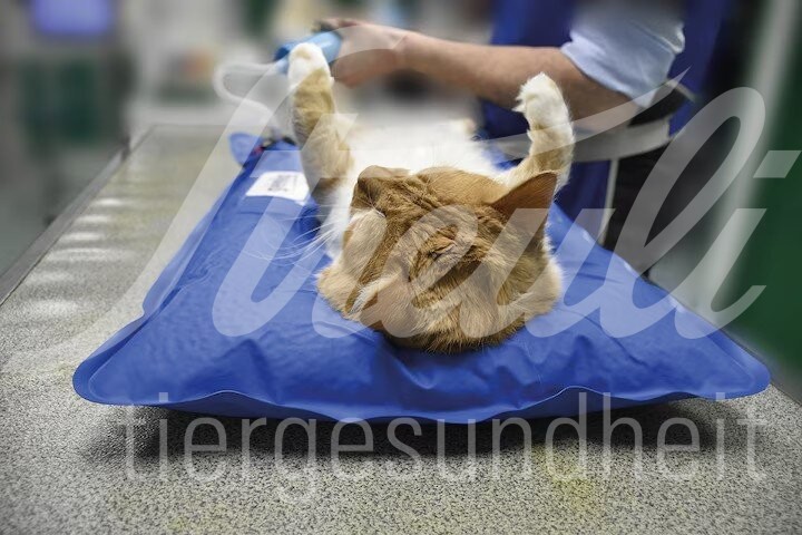 Ersatzpumpe für Vakuumat Matratze 1 Stück