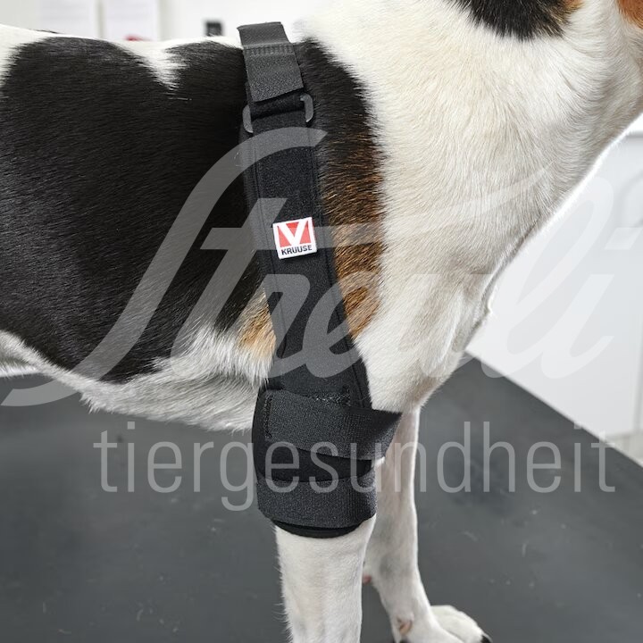 KRUUSE Rehab Pro Hund Elbogenschutz Gr. XS rechts 1 Stück