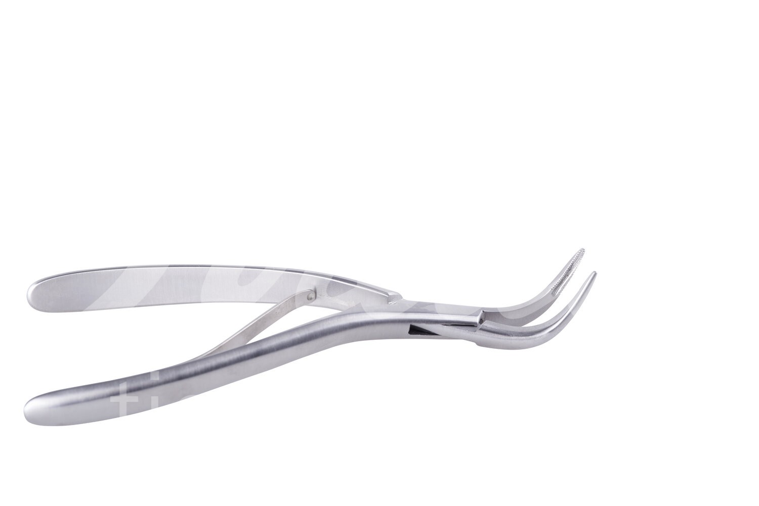 KRUUSE Wurzelspitzenzange gebogen stumpf 15.5 cm 1 Stk