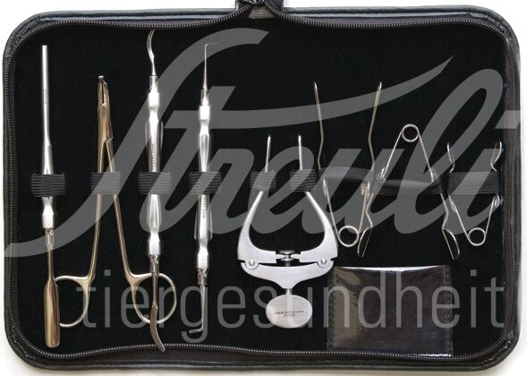 iM3 Instrumenten Set für Nager 8-teilig 1 Set iM3 Instrumenten Set für Nager 8-teilig 1 Set
