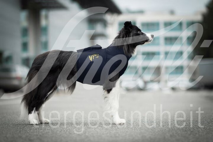 MPS Protective Top Shirt 4in1 Gr. L 1 Stück