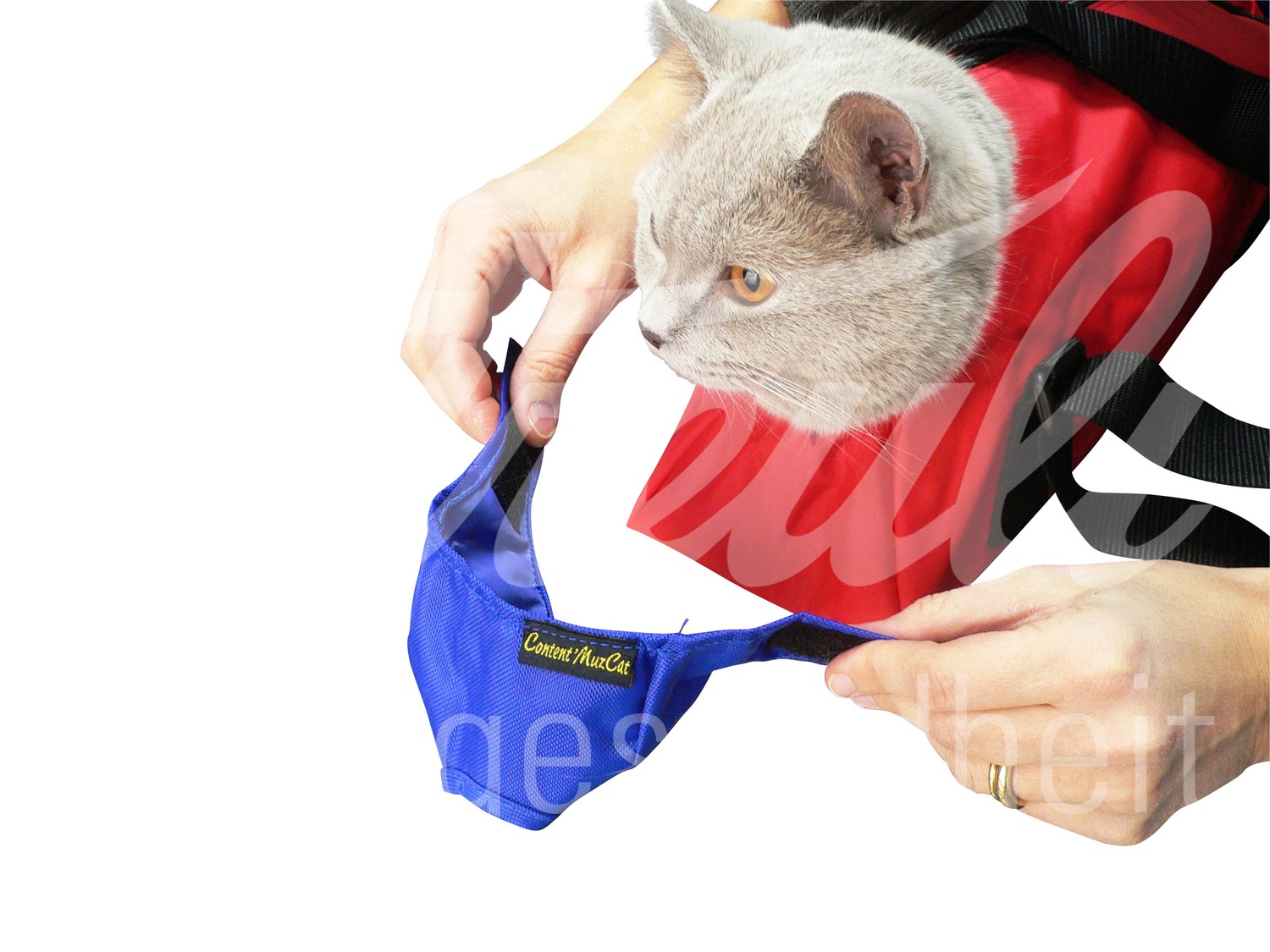 BUSTER Vet Nylon Maulkorb für Katze Gr. L 1 Stück BUSTER Vet Nylon Maulkorb für Katze Gr. L 1 Stück