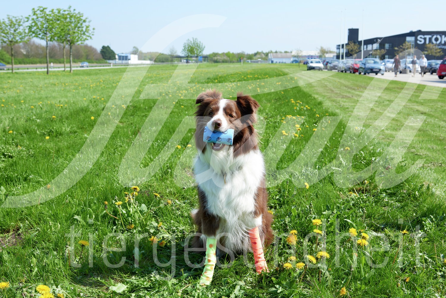 KRUUSE Fun Flex Sommer Bandagen 5cm x 4.5m assort. 10Stk.