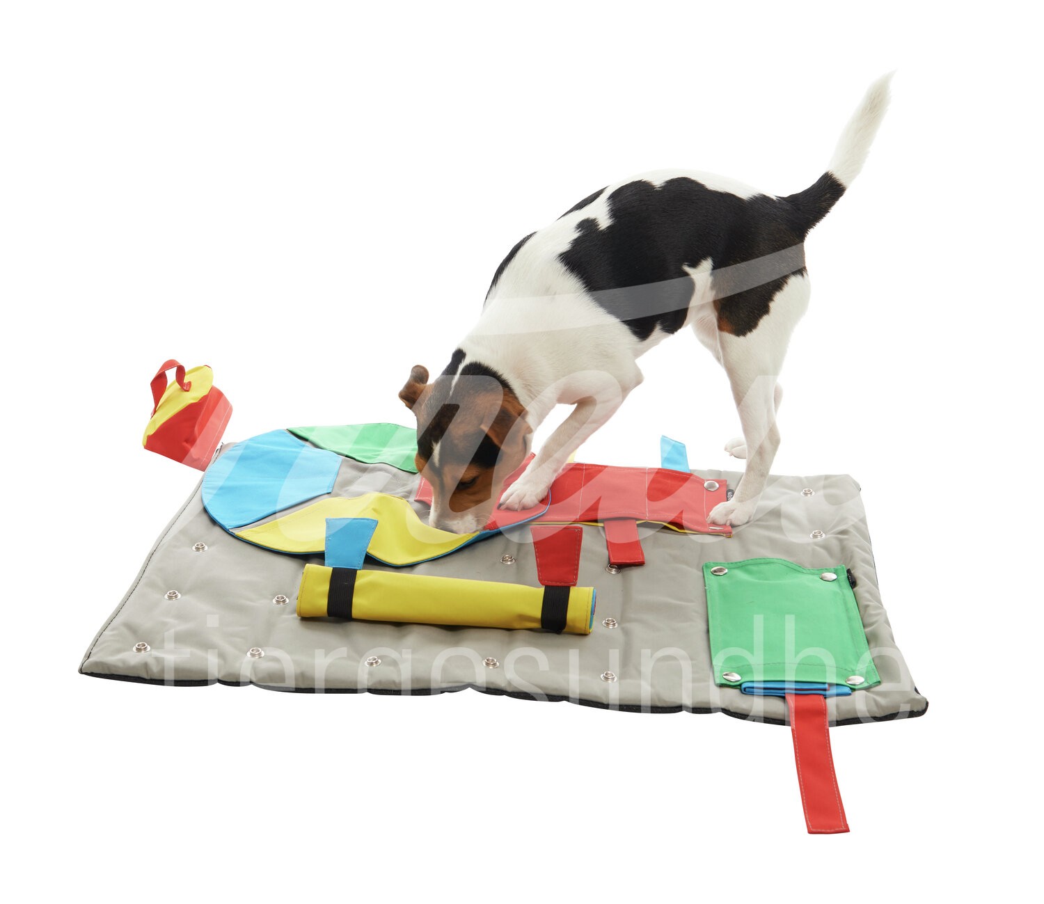 BUSTER ActivityMat Aufgabe Anfängersatz m. 3 Aktivitäten 1 Set