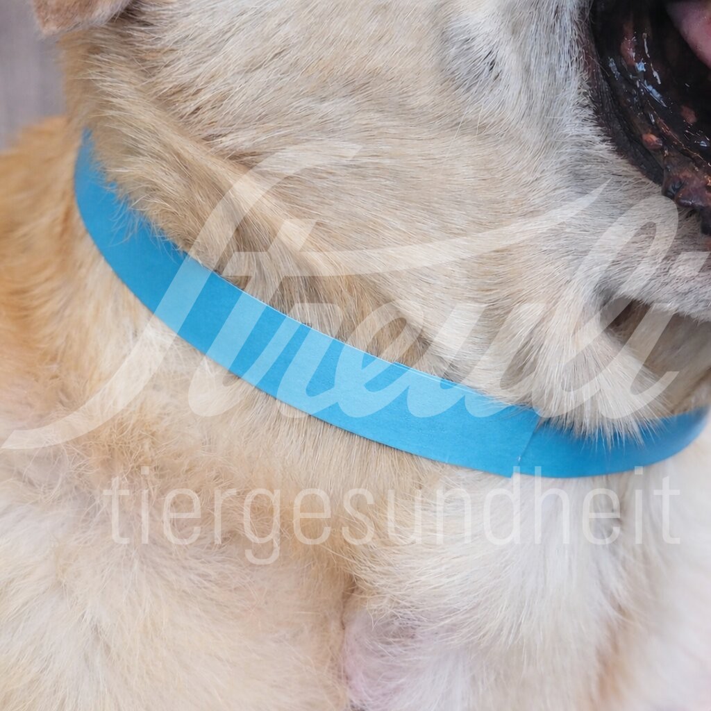 ID Bänder f. Klinikaufenthalt 75 cm Colourbox 100 Stück