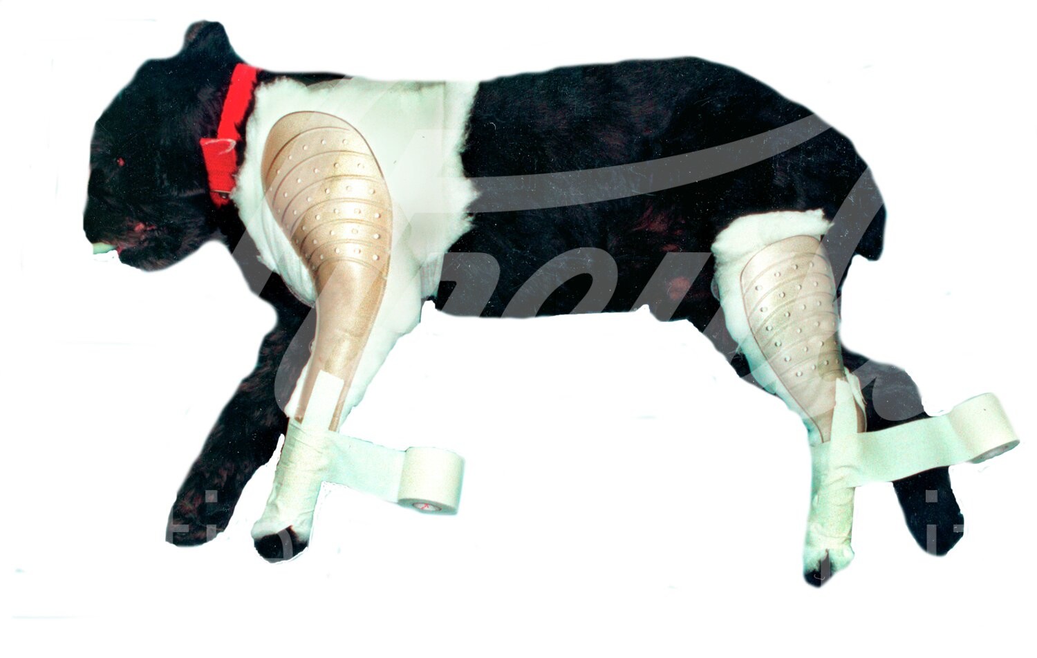 FV Beinschiene Quicksplint Hinterbein L & R Gr. L 40 cm 1 Paar