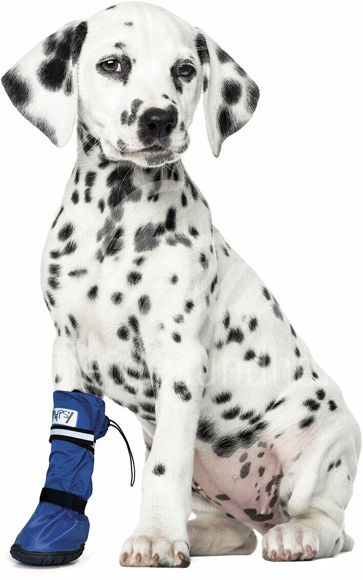 Medical PetS Boot S - 1 Stück