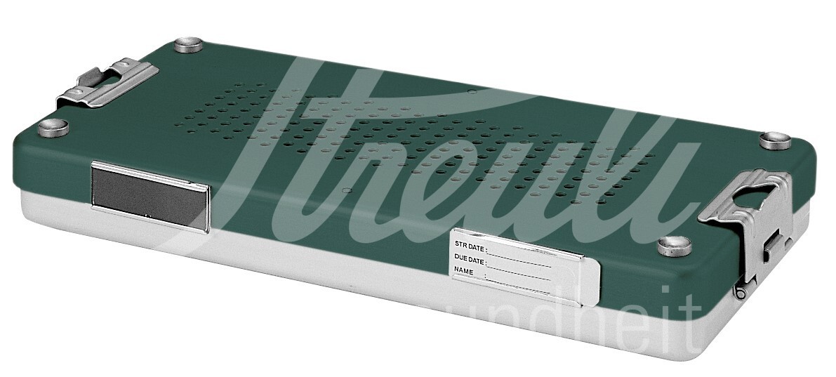 Mini-Container 300 x 140 x 40 mm grün Deckel perforiert 1 Stk