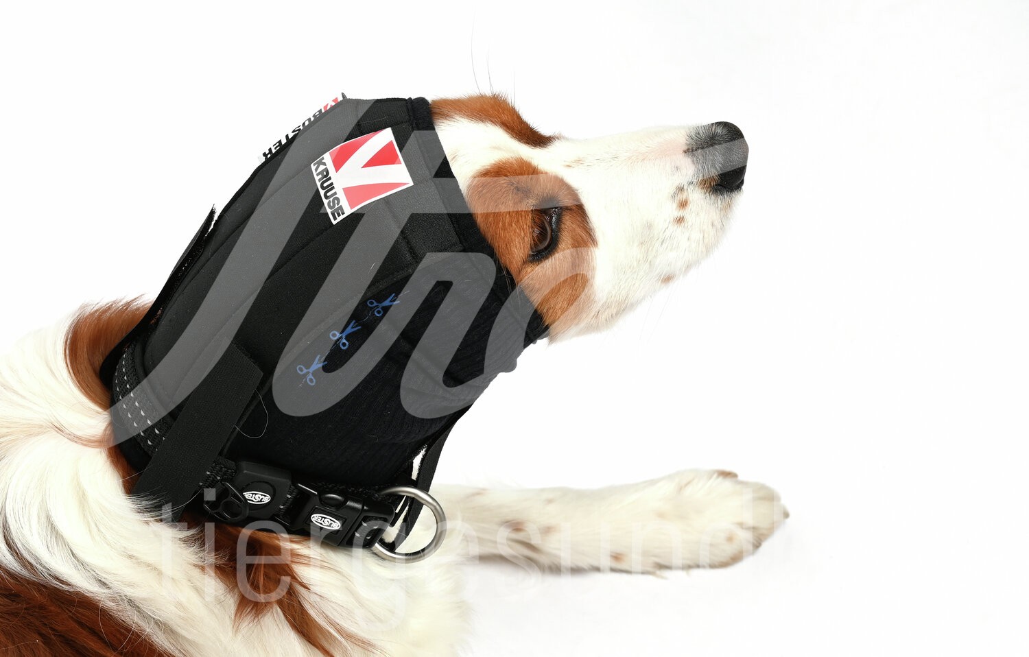 BUSTER Ohrenschutz ear cover Gr. XXL 1 Stück BUSTER Ohrenschutz ear cover Gr. XXL 1 Stück