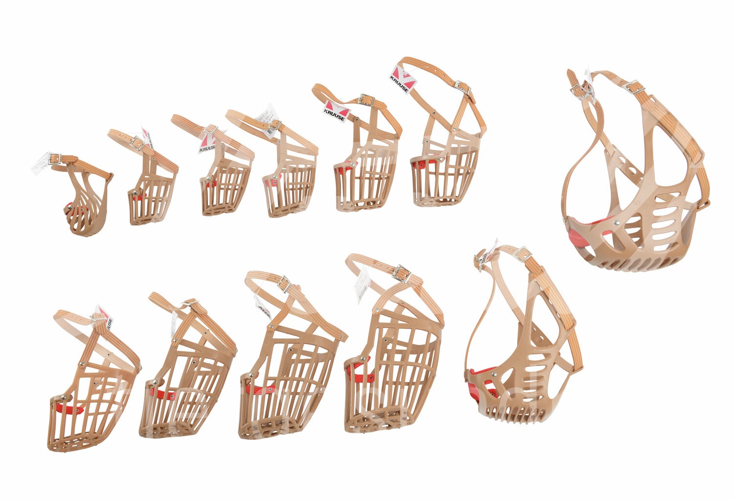 BUSTER Kunststoff Maulkorb Gr. 1-10 & Brach.R Nr 4 & 5 1 Set