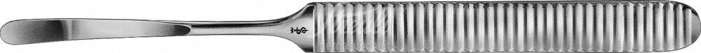 Rasparatorium FK300R 16cm 1 Stück
