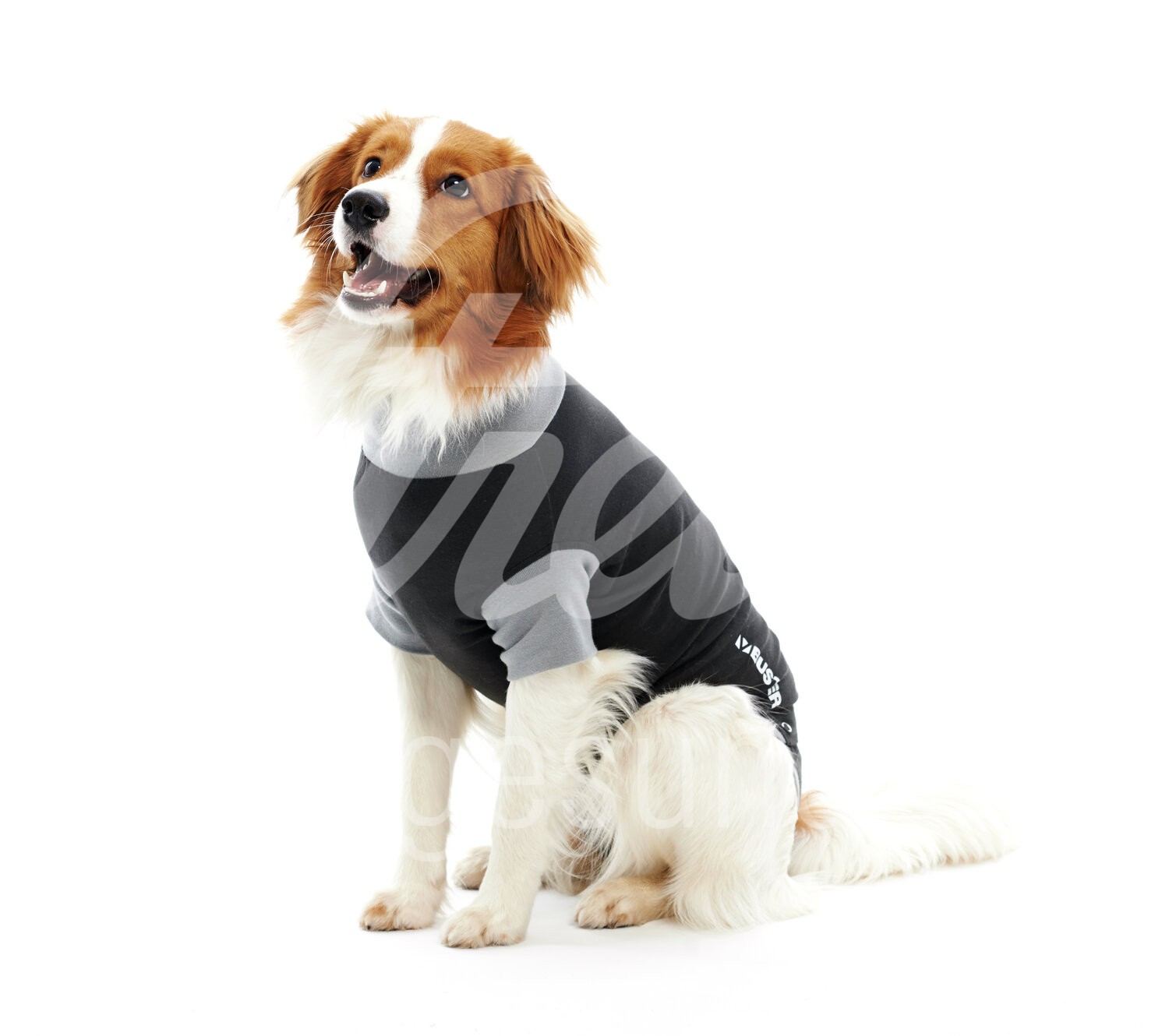 BUSTER Body Suit Classic Hündin & Rüde Gr. L 1 Stück