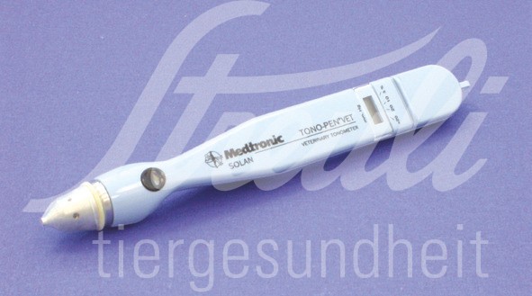 Ersatzbatterie für Tonopen CR 1/3 N 1 Stück