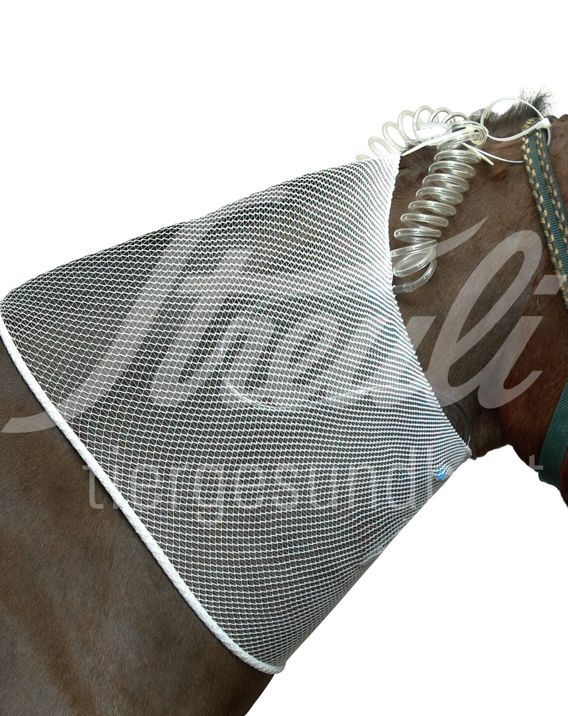 BUSTER Schlauchverband 8,8 cm x 6,5 m weiss 1 Stück
