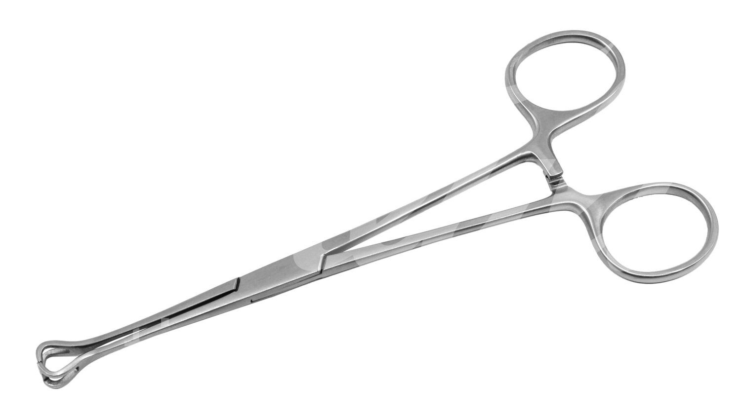 Darmfasszange Babcock 16.0 cm 1 Stück