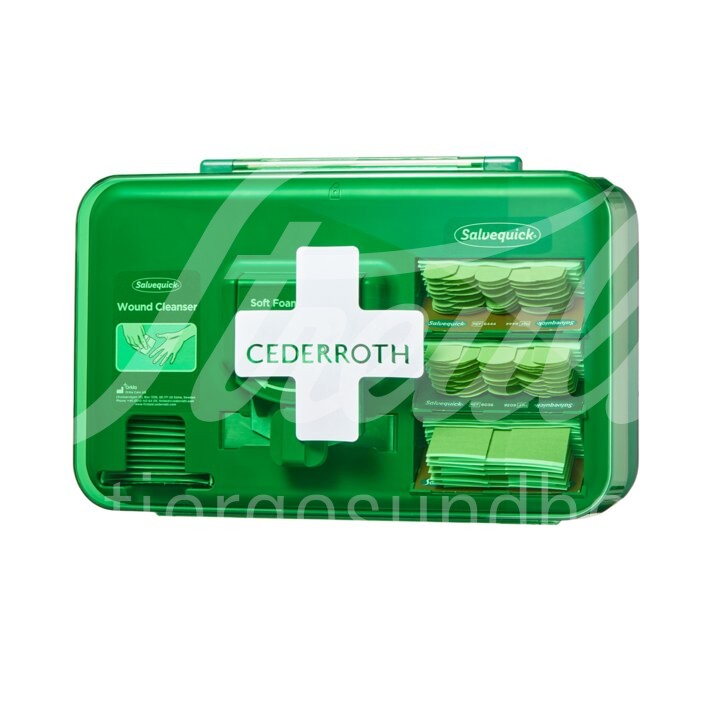 Cederroth Pflasterspender Set PLUS 1 Stück